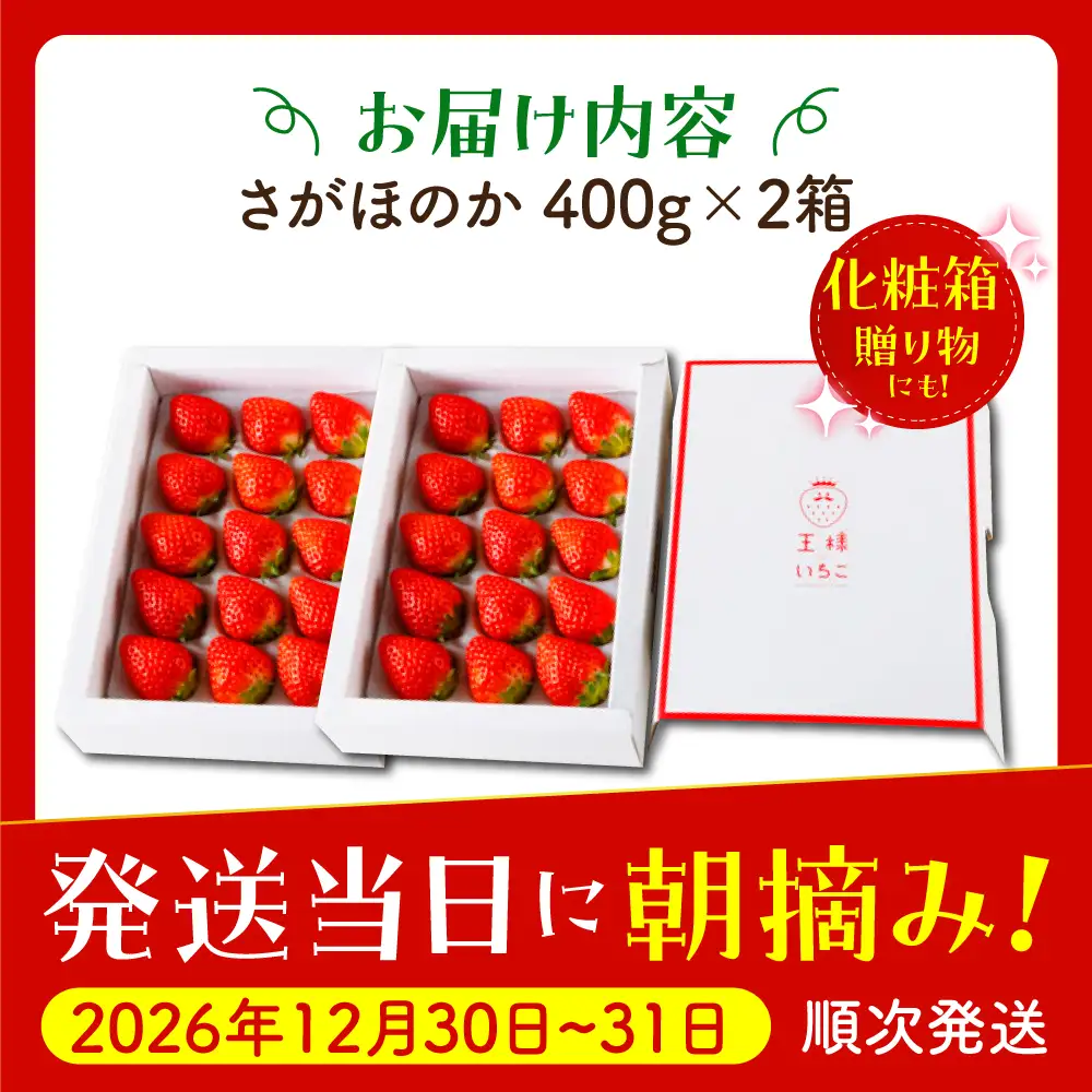 【先行予約】【農薬0への挑戦】【年末発送】王様のいちごさがほのか400g×2箱【むらおか農園】HAF029 いちご 果物 フルーツ