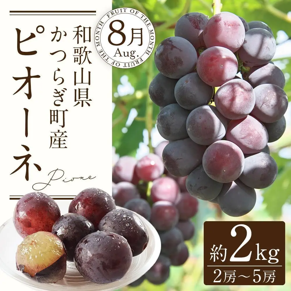定期便全3回 和歌山の人気の夏のフルーツをお届け！ ［TM204］