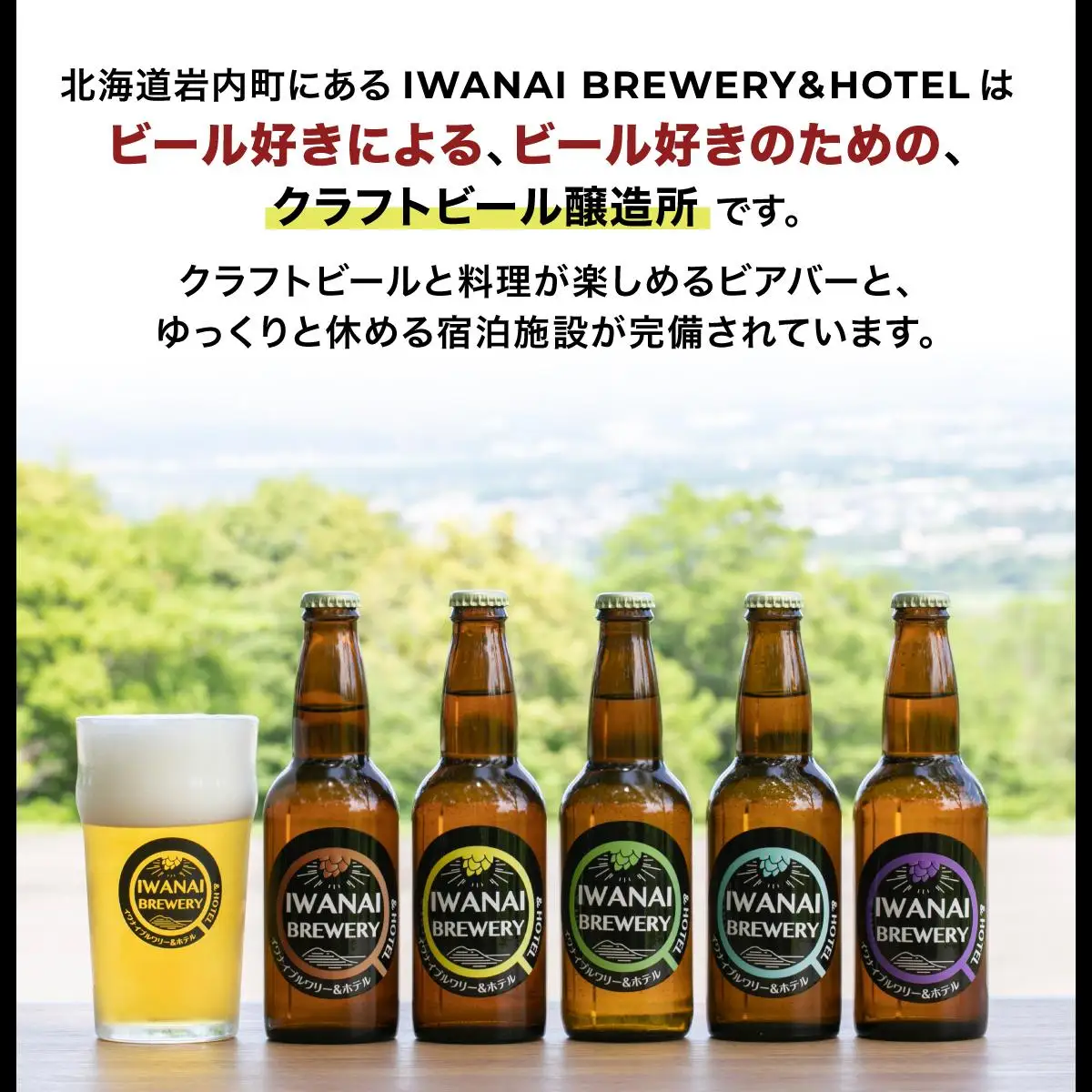 【5組限定】夢のオリジナルビール醸造 北海道岩内町 F21H-567
