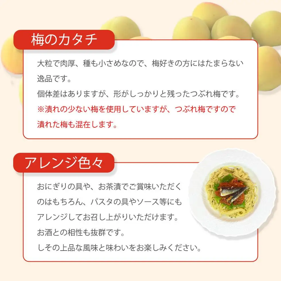 紀州南高梅 完熟 梅干し つぶれ梅 しそ梅 800g 塩分10％ ふるさと納税