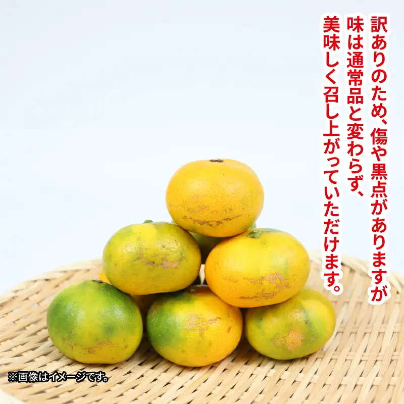 訳あり 極早生 愛媛 みかん 10kg NBU B015-058008
