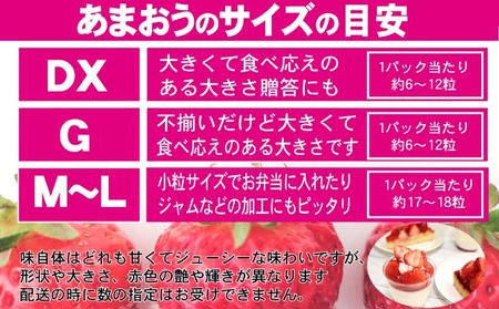 いちご あまおう DX 等級のみ 約520g（260g×2パック）東北 いちご