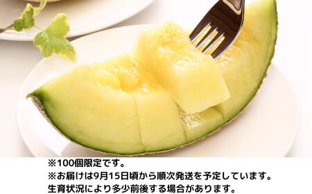 【先行予約】9月中旬出荷予定 高級マスクメロン 1個（2～2.2kg程度）100セット限定 濃厚な甘みととろける食感 農家直送 １本の木に１玉だけ 愛情込めて育てた自慢の逸品