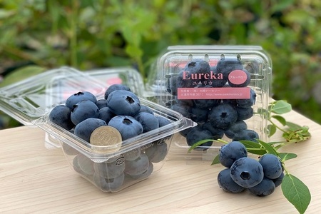冷凍　最短3日発送　ユーリカ　1kg（500g×2) ブルーベリー ※離島への配送不可 ※着日指定不可