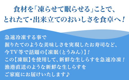 【 訳あり 】 生しらす 1kg 【 TV等で話題の凍眠 （ 急速冷凍 ） 】