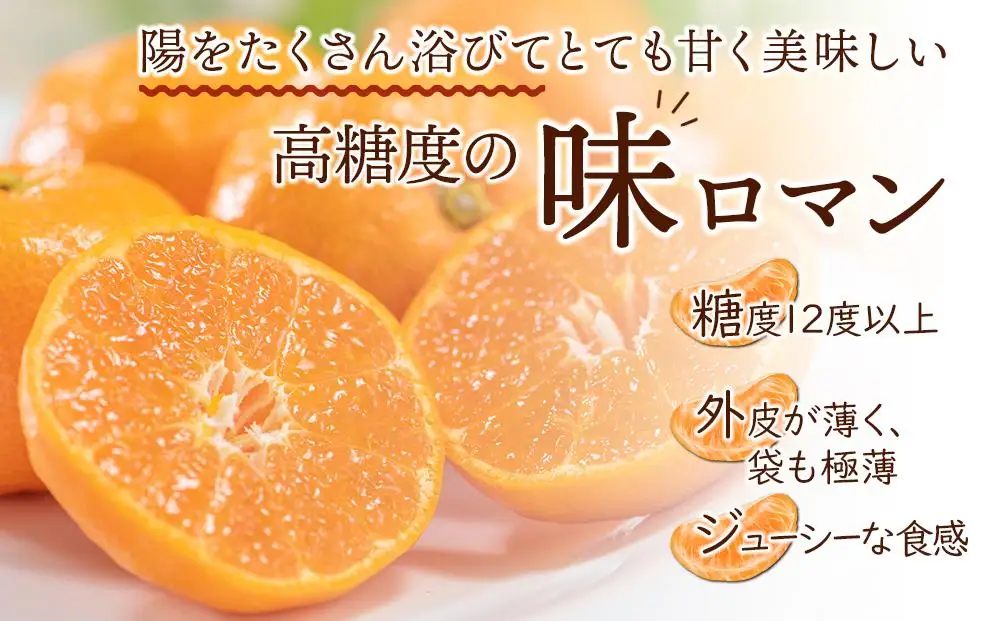 【糖度12度以上！】長崎県産 みかん 味ロマン 約10kg ＜期間限定／先行予約＞【2026年11月中旬以降順次発送】｜みかん 柑橘