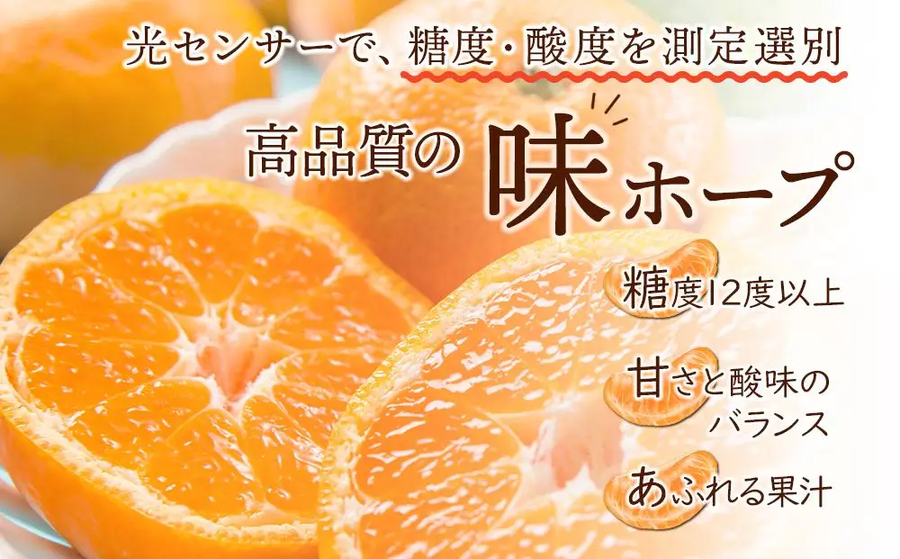 【糖度12度以上！】長崎県産 みかん 味ホープ 約10kg＜期間限定／先行予約＞【2026年11月中旬以降順次発送】｜みかん 柑橘