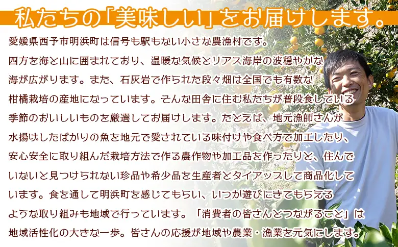 ＜旬をお届け！季節の柑橘 2回定期便（温州みかん約3kg・ポンカン約2kg）＞ミカン ぽんかん 蜜柑 果物 果実 フルーツ お楽しみ 2種類 食べ比べ 手軽 特産品 国産 愛媛県 西予市【常温】『1回目：2026年11月中旬～／2回目：2027年1月下旬～に順次出荷予定』ANS0017