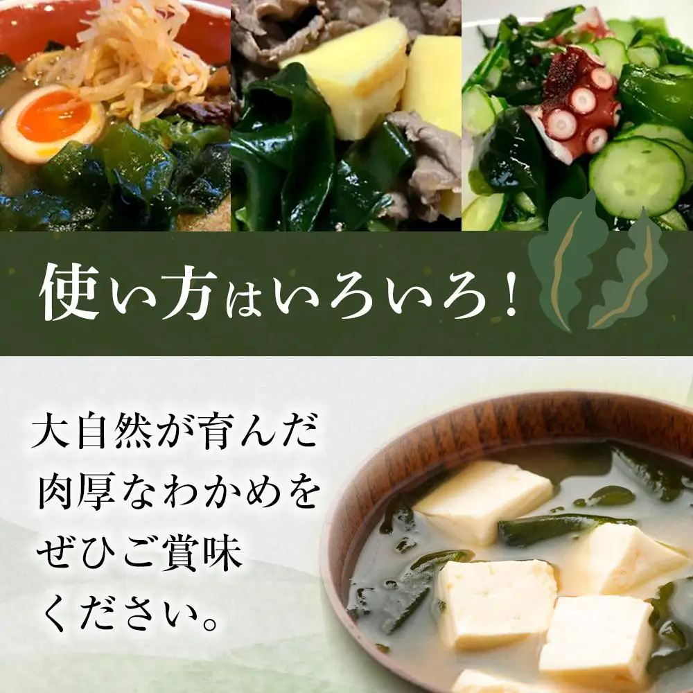 鳴門わかめ 食べ比べ 糸わかめ 53g×2 生わかめ145g×2 すだち 8個 大野海苔 10本 干海老 70g×5 セット 海苔 のり