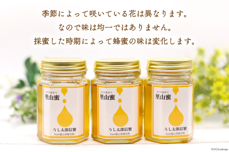 里山蜜 160g×3本