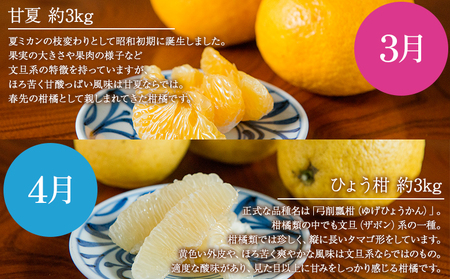 ＜無茶々園の柑橘頒布会 定期便 7回＞ 果物 フルーツ 温州みかん ミカン 蜜柑 ポンカン 伊予柑 いよかん 不知火 しらぬい 甘夏 あまなつ 河内晩柑 かわちばんかん ひょう柑 ひょうかん 無茶々園 愛媛県 西予市【常温】『2024年12月に第1回目を順次出荷予定』AMC0029