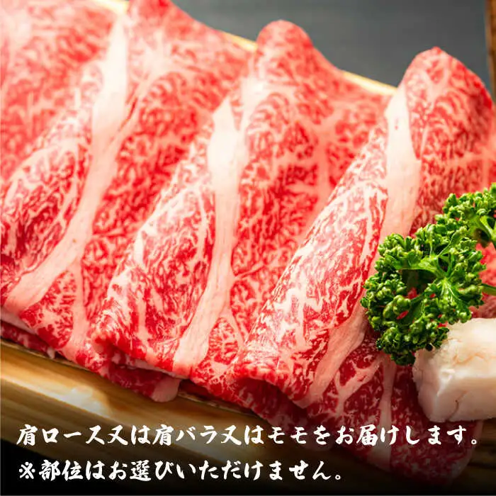 【3回定期便】【大人数のご家庭に】まんぷく定期便 [ABBP113]