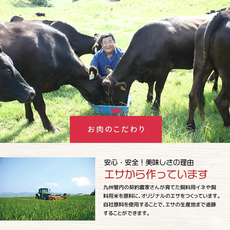 湯煎 で 簡単！国産牛 テールスープ 7Pセット K002-044 肉 牛肉 冷凍