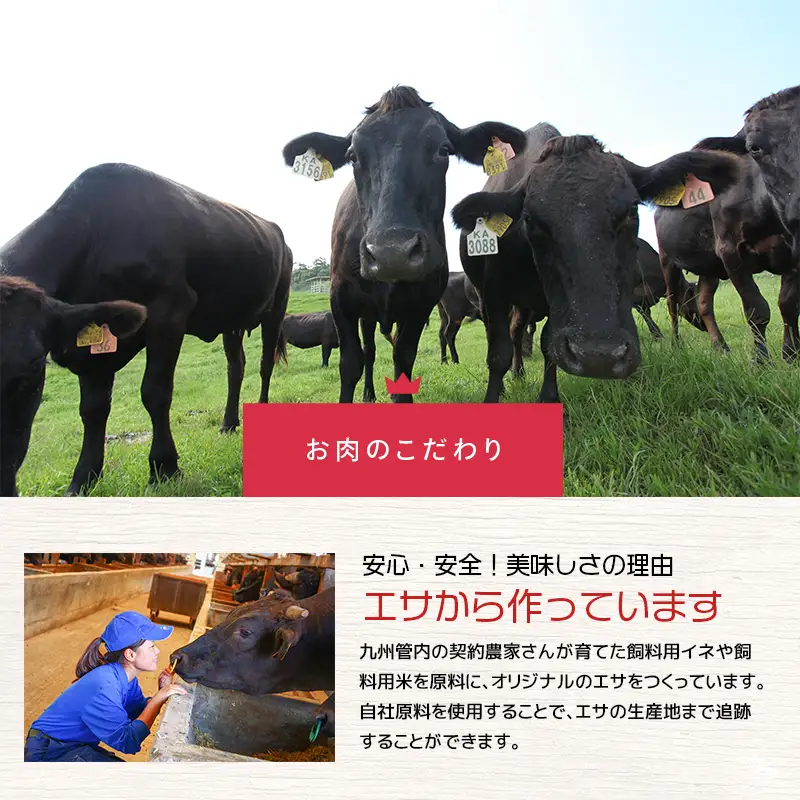 【 人気部位ミスジ！ 】A5等級 黒毛和牛 ミスジ ステーキ 400g K002-045 肉 牛肉 冷凍