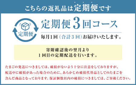 【定期便3回】球磨球子 40個×3回 合計120個 鶏卵 卵 玉子 たまご くまたまご（破損保証有り）