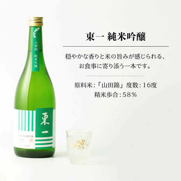 日本酒 東一 日本酒飲み比べ2種 NBQ020 