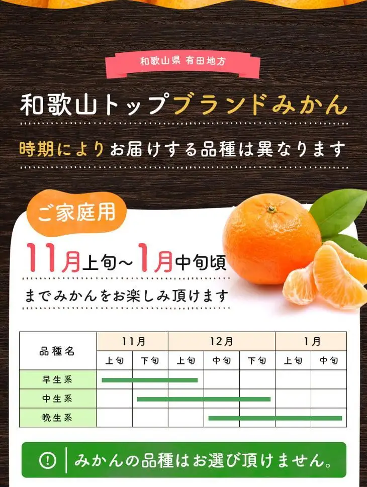 ［先行予約］ご家庭用 完熟 有田みかん 5kg［2026年12月発送予定］訳あり 農家直送［MS31-2］