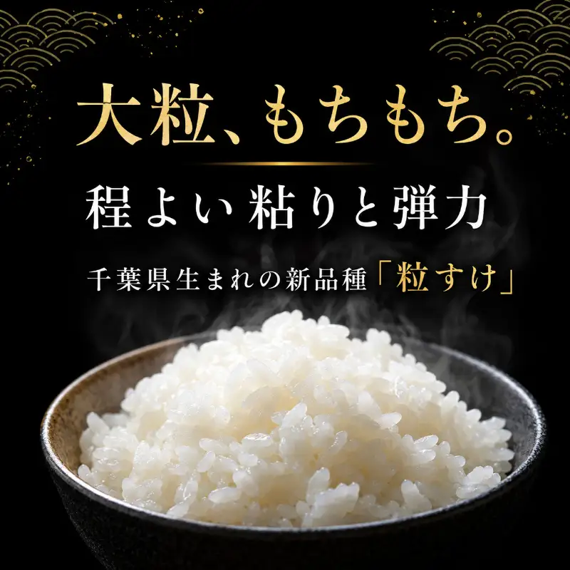 【先行予約・令和8年産】 粒すけ  白米5kg 　【 お米 こめ コメ おこめ 】 