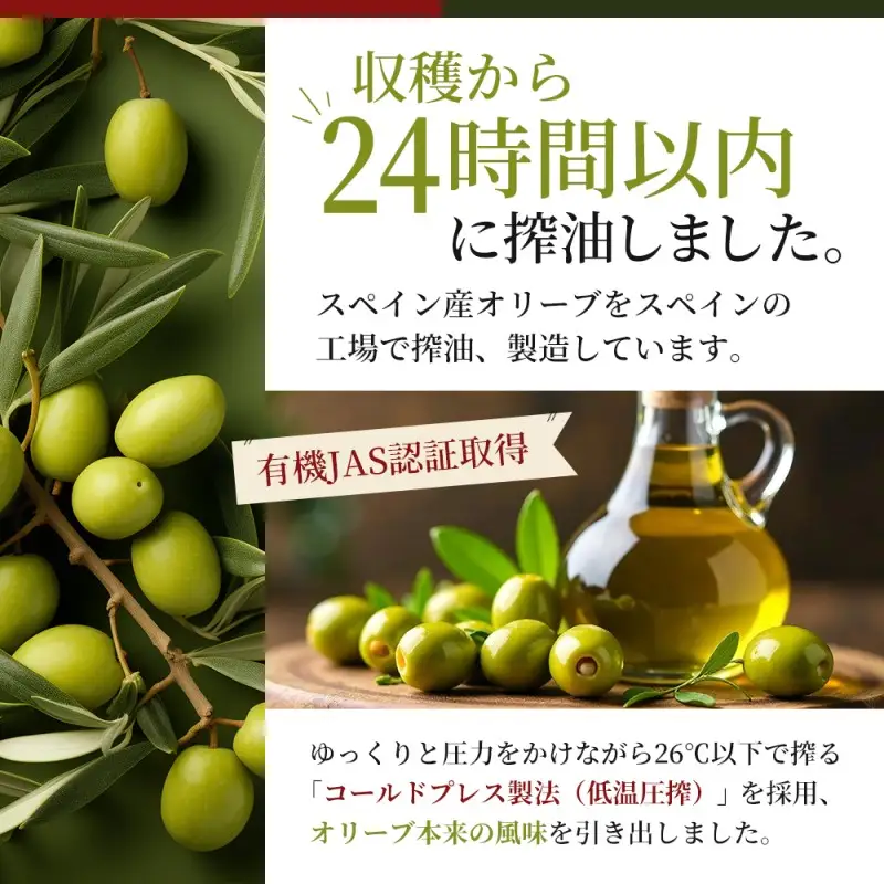 オリーブオイル 有機 340g 3本 オリーブオイル