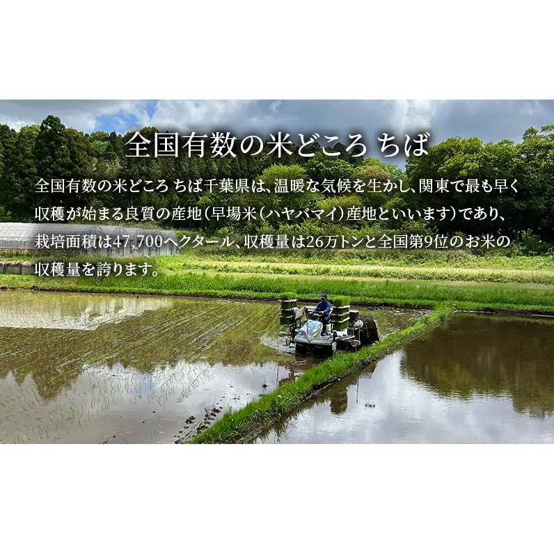 令和7年 コシヒカリ　無洗米　10kg お米 精米 粘りつやつや 甘み 美味しい 新鮮 