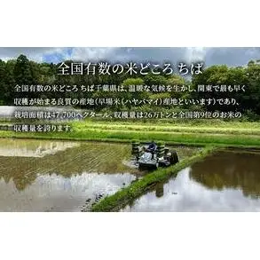 千葉産　令和7年コシヒカリ　白米27kg【 お米 粘りつやつや 甘み】 精米 ほんのり甘み 食感 新鮮 