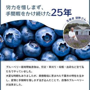 冷凍こだわりブルーベリー　500g×2【フルーツ  冷凍 1kg】 果物詰合せ 千葉県 