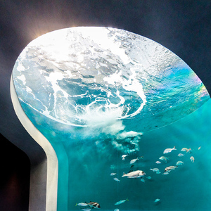 四国水族館 ＜大人＞ペア入館券 FAH-0151