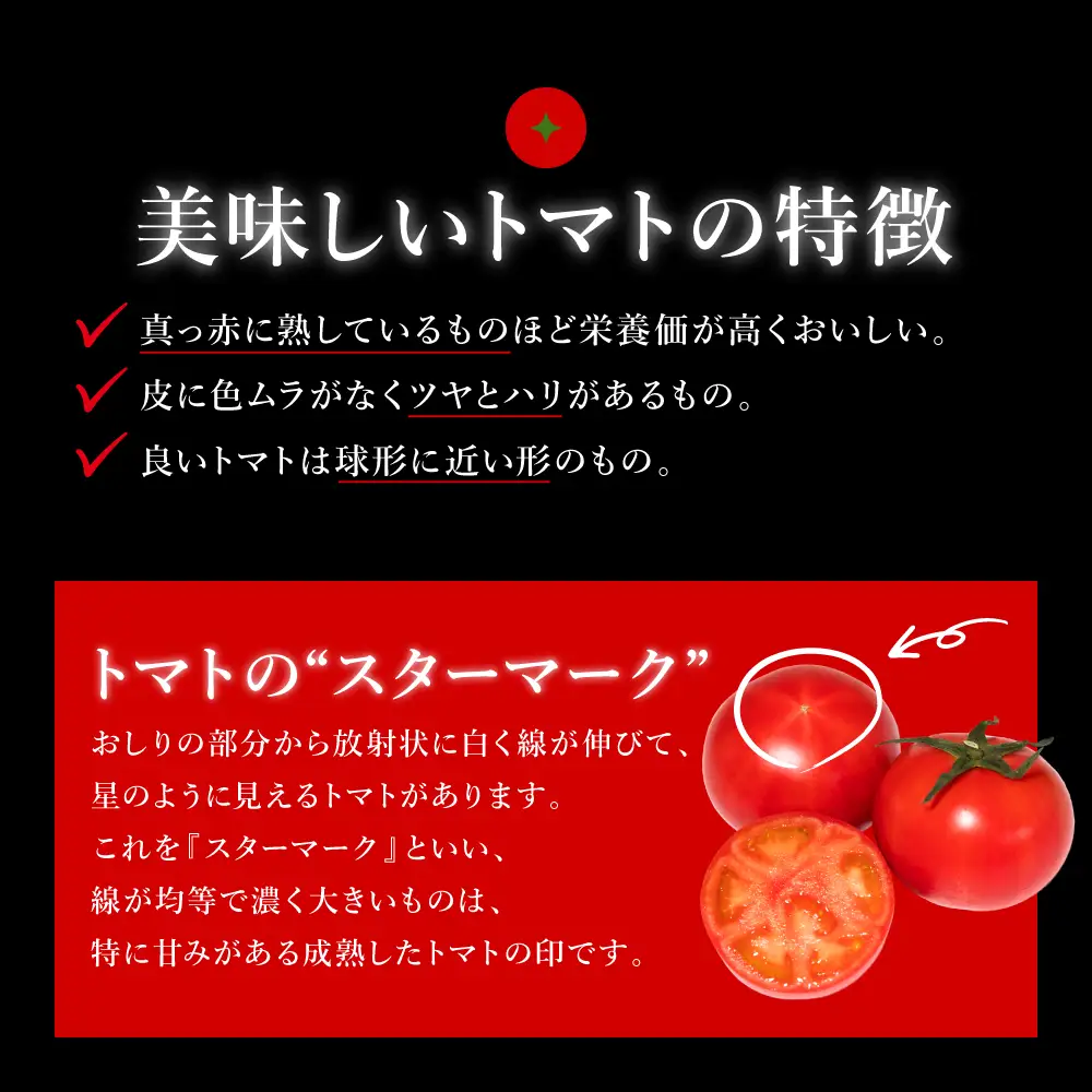 トマト 【先行予約】 くまもと塩トマト 「ロイヤルセレブ」 約1kg 【2027年1月上旬より順次発送】 トマト