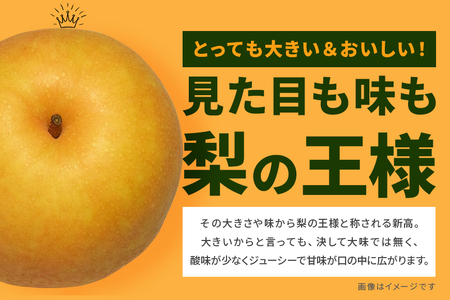 訳あり 新高 梨 5kg 柴沼梨園 BX-008