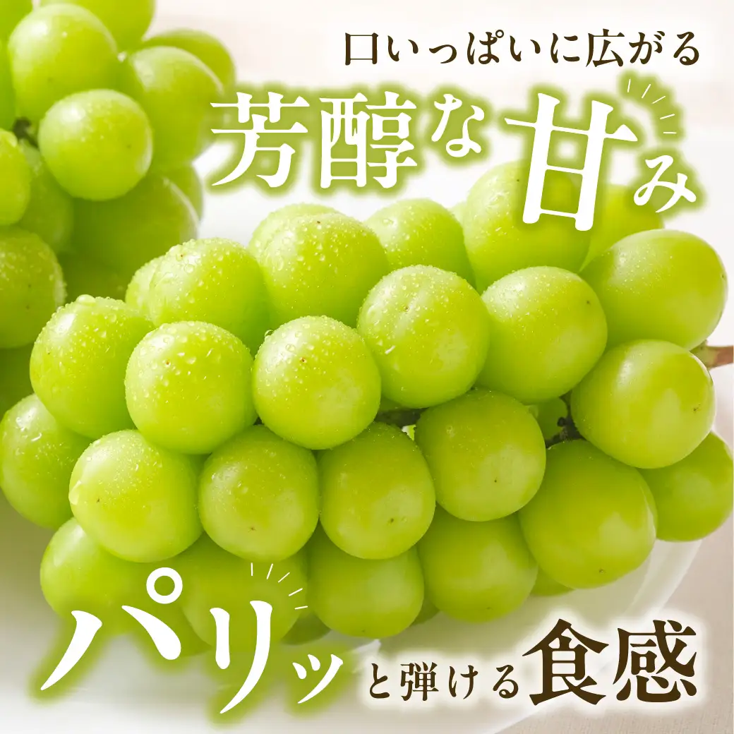 【2027年発送分・先行予約開始！】【定期便】岡山県産　桃 約4kg・シャインマスカット 約5kg 計6回発送【シャインマスカット 桃】