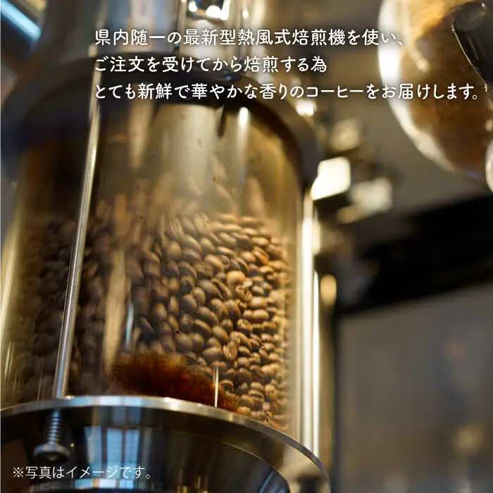 COFFEE MUSUME オリジナルブレンド ドリップパック コーヒー 10袋入り【COFFEE MUSUME】[TE09]