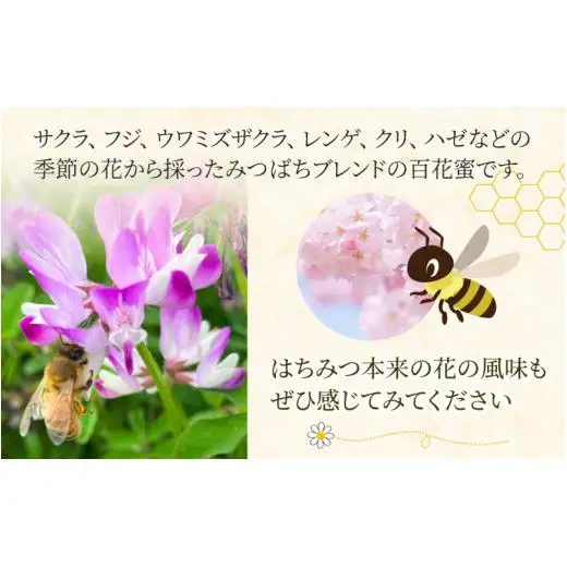 生はちみつ 200g×2本 【プラボトル】  / 国産 天然 はちみつ ハチミツ 蜂蜜 ハチミツ 純粋はちみつ 蜂蜜 百花 非加熱 国産 ギフト 贈答用 プレゼント レモン 紅茶 梅干し 富山県 滑川市 ハニー 人気 おすすめ [A-033002]