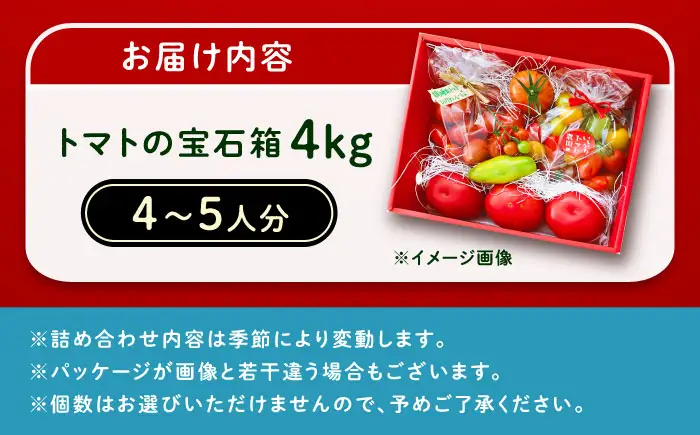 【2週間以内に発送！】 トマトの宝石箱 4kg / 恵那市 / クリエイティブファーマーズ [AUAH015]