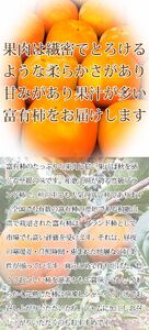  【先行予約】和歌山秋の味覚　平核無柿（ひらたねなしがき）約4kg　化粧箱入　※2026年10月上旬頃〜2026年11月上旬頃順次発送（お届け日指定不可）/柿 果物 フルーツ くだもの 先行予約【uot701A】