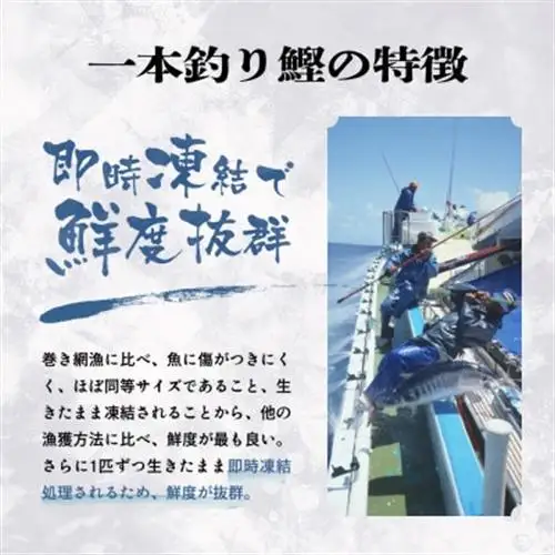 枕崎ぶえん鰹　(活き〆かつお)血合い抜き刺身 1kg A3-143_鰹 カツオ 内閣総理大臣賞 タレ付き 贈り物 ギフト プレゼント 人気 送料無料_【配送不可地域：離島】【1166321】