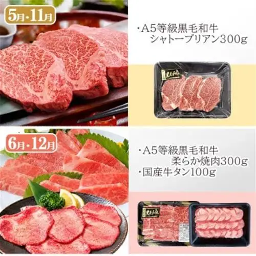 定期便(6回)鹿児島県産A5等級黒毛和牛シャトーブリアン・サーロインステーキetc　HH-6001_肉 お肉 牛肉 霜降り ロース スライス 焼肉 切り落とし ブロック 人気 送料無料_【配送不可地域：離島】【1166783】