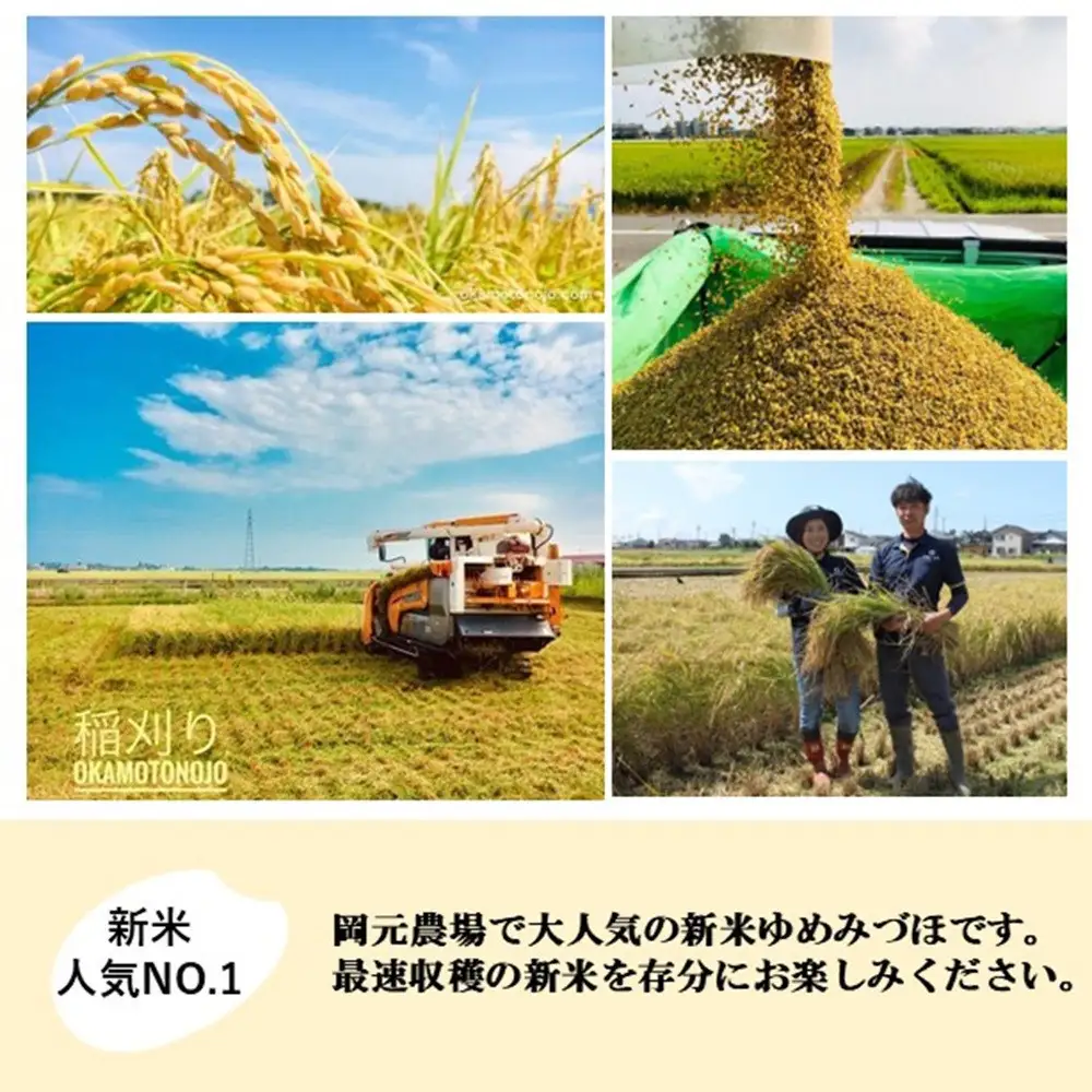 【令和8年産】【日本農業賞大賞】ゆめみづほ27kg精白米 能美市 お米 精米銘柄米 ご飯 おにぎり お弁当 和食粘りが少ない 精米したて 一等米