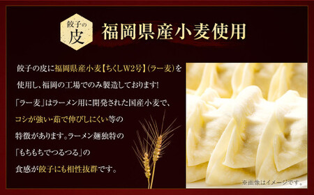 訳あり！ちょっと大きめ 国産 生餃子 (ラー麦使用)  100個 2kg ＆ 辛子明太子 小切り 300g セット ぎょうざ ギョウザ めんたいこ 冷凍