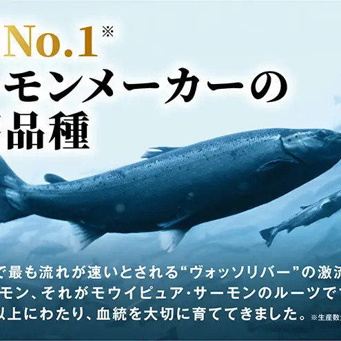【ふるなびWEEK対象】サーモン モウイピュア・サーモン 1枚 900g以上 極上 生サーモン 刺身 ノルウェーサーモン 新鮮 海鮮 魚介