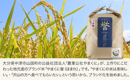 【寄附使途限定】【12ヶ月定期便】九州米・食味コンクール最優秀賞受賞 大分県中津産やまくに誉 つや姫 5kg×1袋 (毎月1回)  | お米 米 おこめ こめ 精米 白米 5キロ ご飯 九州産 国産 国産米 大分県米 九州米 定期 定期便 12回定期便 大分県 中津市