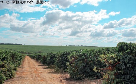【VIVA LA COFFEE】トミオフクダ　ドライオンツリー＆ブルボンアマレロ飲み比べセット（粉）各300g