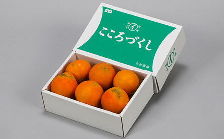 [訳あり 優品] 12月発送開始 おひさまきらりん 約2kg 【今村農園】 果物 みかん 期間限定 数量限定 九州 大分県 訳あり ＜107-018＞
