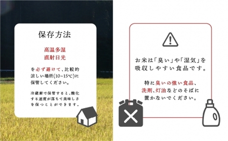令和5年産 ひのひかり 5kg×2袋 計10kg