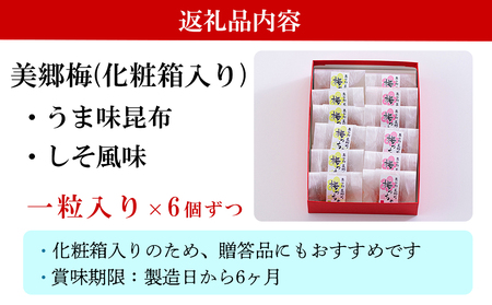 南高梅 梅干し 美郷梅 一粒入り うま味昆布 & シソ風味 各6粒 3Lサイズ A級品 化粧箱入り