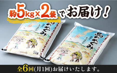 【全6回定期便】対馬産「 なつほのか 」10kg 5kg×2  白米 米 お米 ご飯 ごはん 10kg 10キロ 贈答用 定期便  [WBM007]