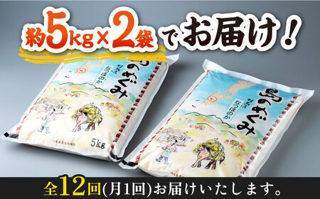 【全12回定期便】対馬産「 なつほのか 」10kg 5kg×2  白米 米 お米 ご飯 ごはん 10kg 10キロ 贈答用 定期便  [WBM008]
