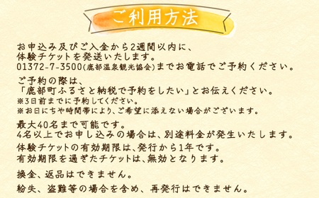 浜のかあさん地元料理体験 3名様分 道の駅しかべ間歇泉公園 入園券付 北海道 鹿部町 旅行 観光 体験 送料無料