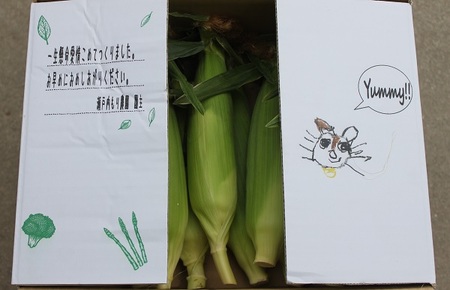 朝採れ！とうもろこし【おおもの】5kg（11本～13本）【令和7年6月下旬頃】【L-47】