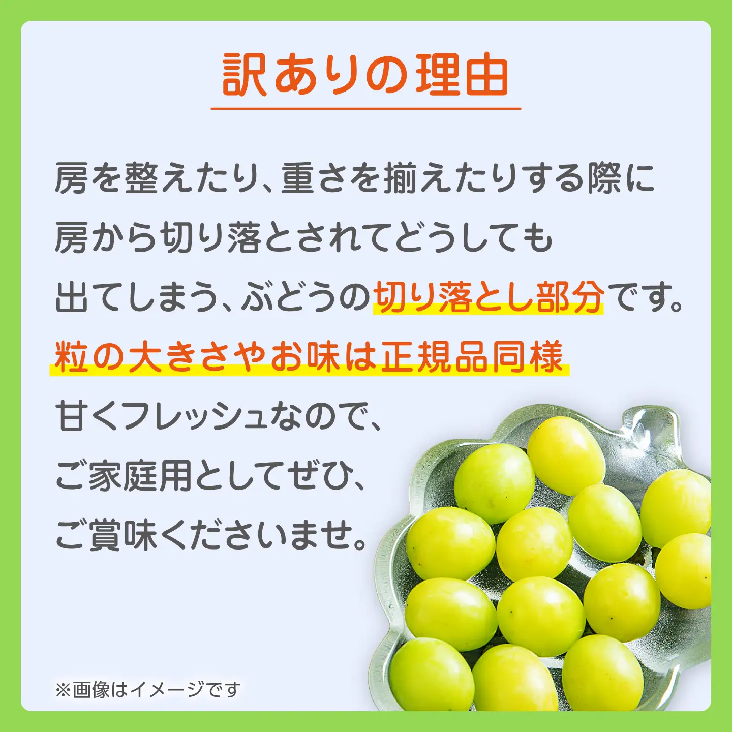【先行予約】 訳あり シャインマスカット 切り落とし 約1kg  【合同会社 社方園】切り落とし ぶどう フルーツ 熊本県産 国産シャインマスカット [ZBZ006]