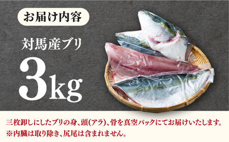 ブリ 3kg セット 短期蓄養 鮮度抜群 新鮮 冷蔵 刺身 漬け丼 刺身 ブリ丼 カルパッチョ アラ付き カマ  [WBV002]
